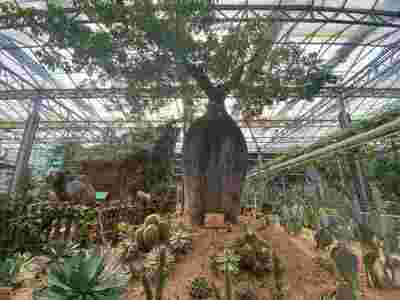 益阳郴州荷兰式玻璃智能温室大棚建造温室大棚安装调试图4