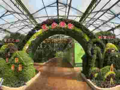 恩施潜江荷兰式玻璃智能温室大棚建造温室大棚安装调试图2