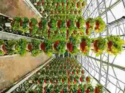 黔西南黔南荷兰式玻璃智能温室大棚建造温室大棚安装调试图2