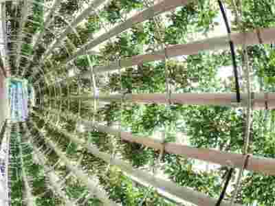 黔西南黔南荷兰式玻璃智能温室大棚建造温室大棚安装调试图3