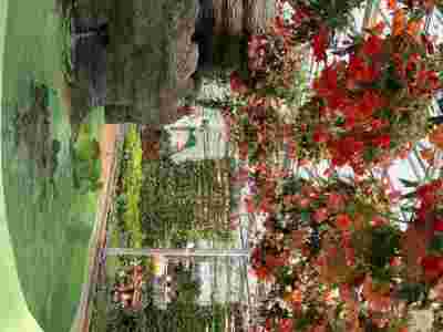 惠州梅州荷兰式玻璃智能温室大棚建造温室大棚安装调试图3