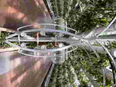 福州荷兰式玻璃智能温室大棚建造温室大棚安装调试图2