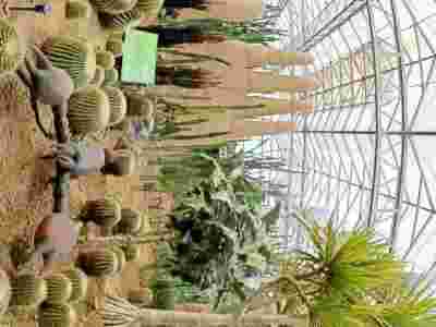 南平龙岩荷兰式玻璃智能温室大棚建造温室大棚安装调试图2