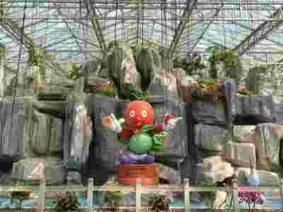 万宁琼海荷兰式玻璃智能温室大棚建造温室大棚安装调试图2