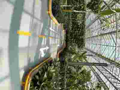 巴中资阳荷兰式玻璃智能温室大棚建造温室大棚安装调试图3