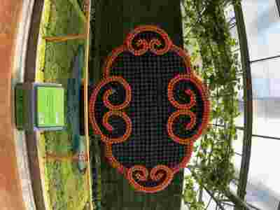 新民康平玻璃智能温室大棚建造温室大棚安装调试图2