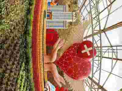 北流市兴业县玻璃智能温室大棚建造温室大棚安装调试图3