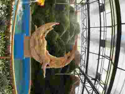 合山市金秀县玻璃智能温室大棚建造温室大棚安装调试图2