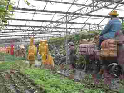 永安市建宁县玻璃智能温室大棚建造温室大棚安装调试图2