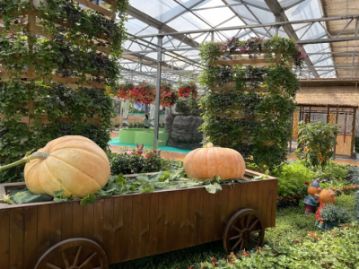 石狮市南安市玻璃智能温室大棚建造温室大棚安装调试图3