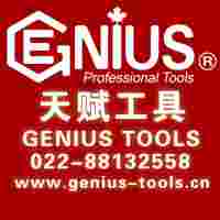 天赋工具Geniustools官网022-88132558