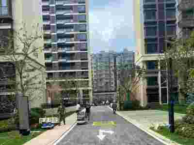 南京达尊提供南京道路划线-消防登高面划线图4