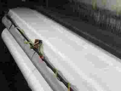 退浆机导布,退浆机专用导布图1