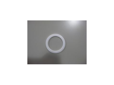 CEMS探头密封垫A0701-L0201-011图1