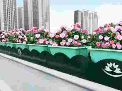 浙江金属花箱,杭州公园椅,湖州弧形花箱,上海道路花箱图1