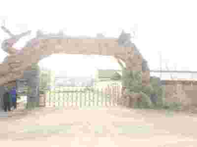 安装泰安迎金学校电动伸缩门注意五大细节图1