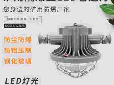 DGS36/127L(A)矿用隔爆型LED巷道灯-益煤照明灯图1