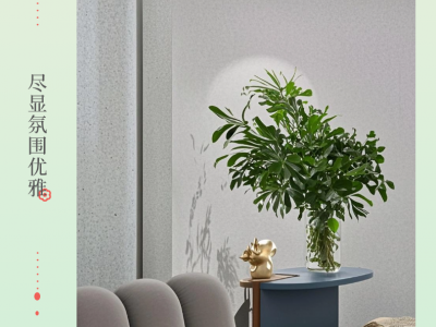 蓝翠鸟玛拉彩石免腻子高品质艺术涂料内外墙面漆室内晶钻彩墙面漆图2