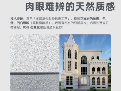 蓝翠鸟源头供货水包砂仿石漆 货源充足品质在线图2