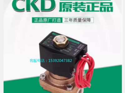 CKD电磁阀APK11-20A-E2C-AC220V全新图1