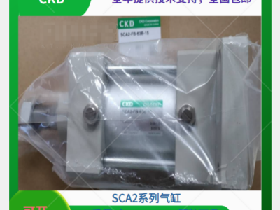 SCA2-TC-80B-350-T3H-D-B4,CKD气缸图1