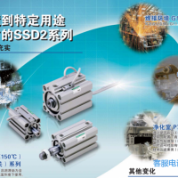 CKD供应SSD2-L-25-30-T2H3-D-N气缸