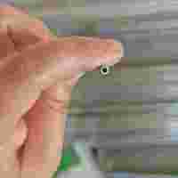 Inconel601不锈钢无缝毛细管