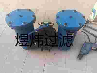过滤器滤芯DFLQG-0044-T1.6L3000E1W80SI图2